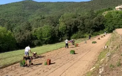 Plantation des Oignons